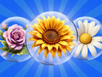 Flori de puzzle cu zaruri!
