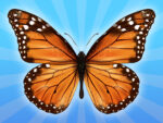 MergeButerfly: 2048!