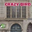 CrazyBirdCity: cea mai bună experiență arcade